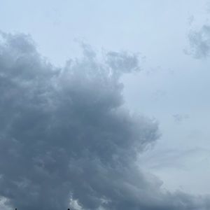 Meet your Posher, Connie